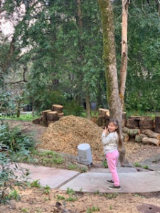 A young girl on site of a tree removal job
